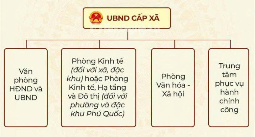 Lịch sử hình thành và phát triển
